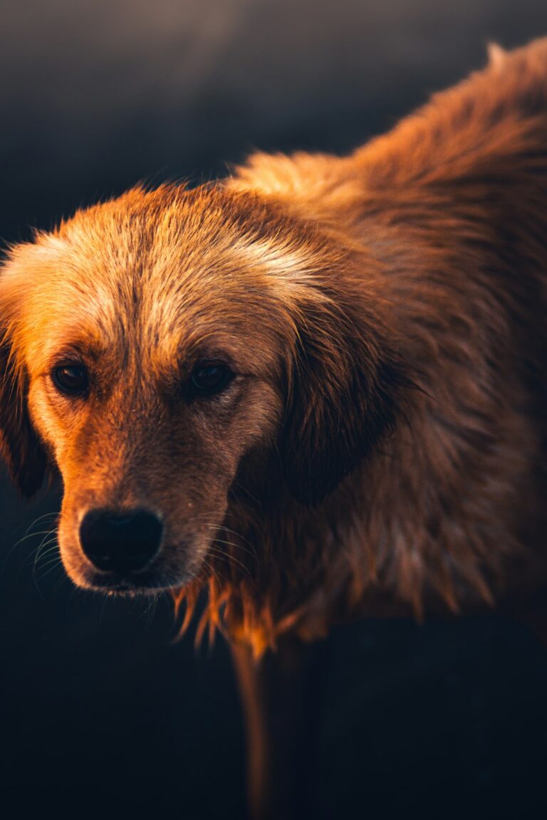 Photo by Sadiq Ali on Unsplash