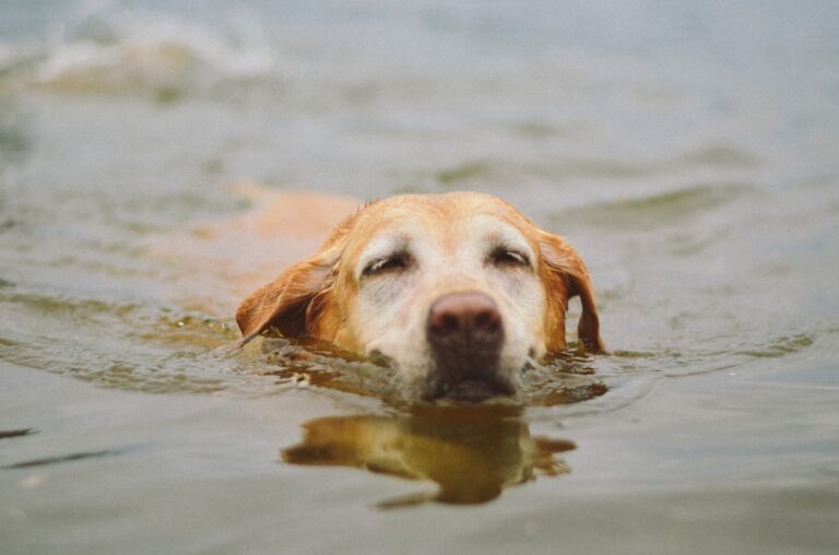 Photo by Marina Helena Muller on Unsplash