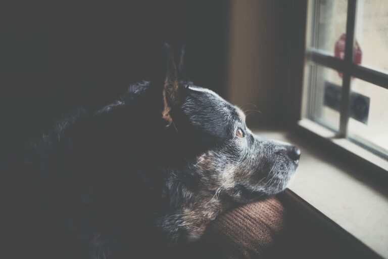 Photo by Gerard Richard on Unsplash
