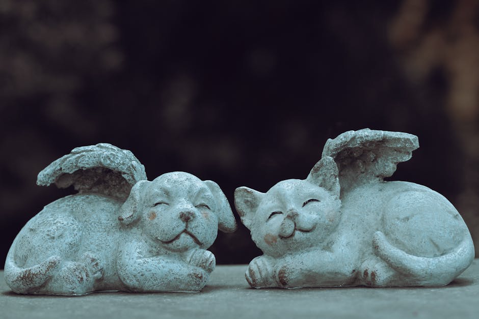 Photo by Alexas Fotos on Pexels
