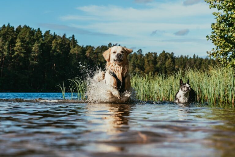 Photo by Oskar Kadaksoo on Unsplash